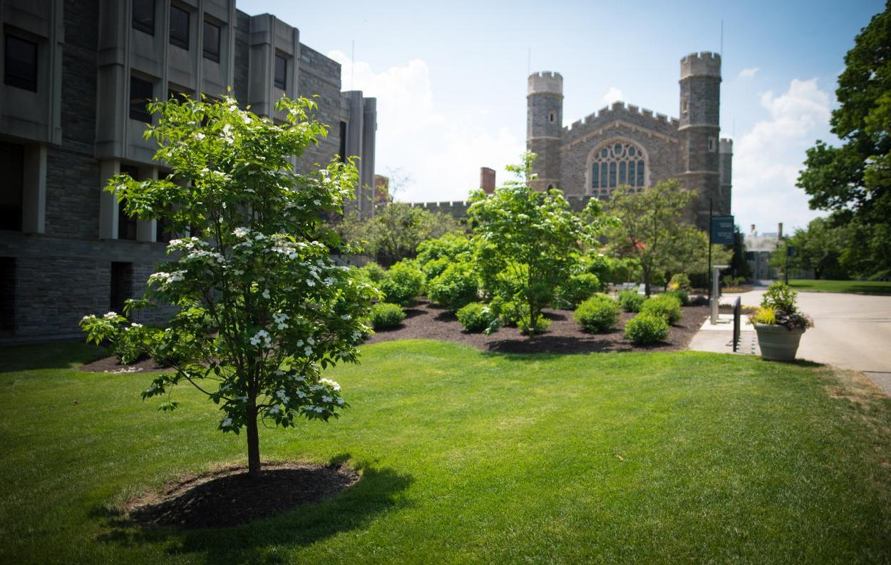 Old Library and Canaday Library